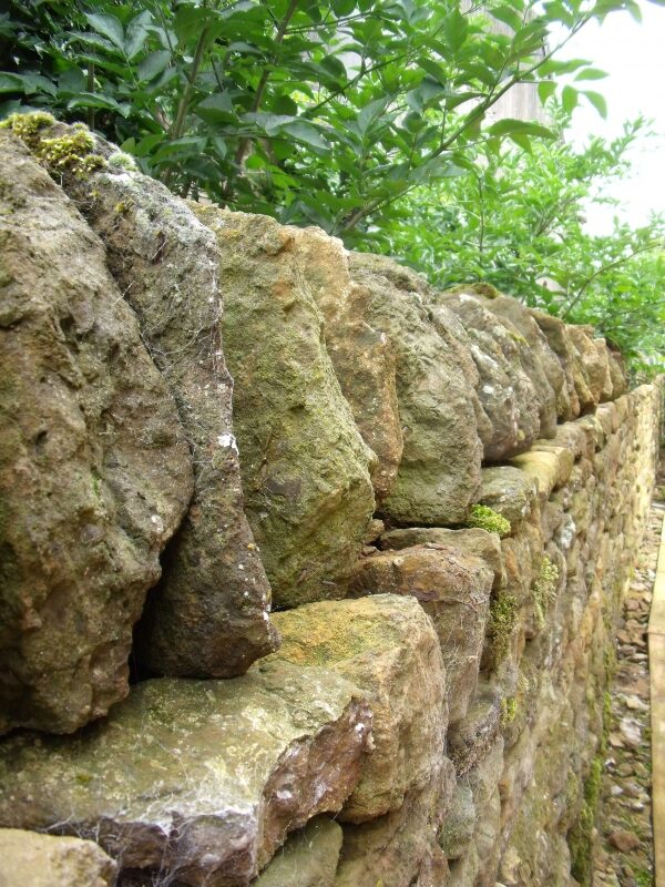 Hornton stone dry wall with traditional upright cocks and hens coping stones