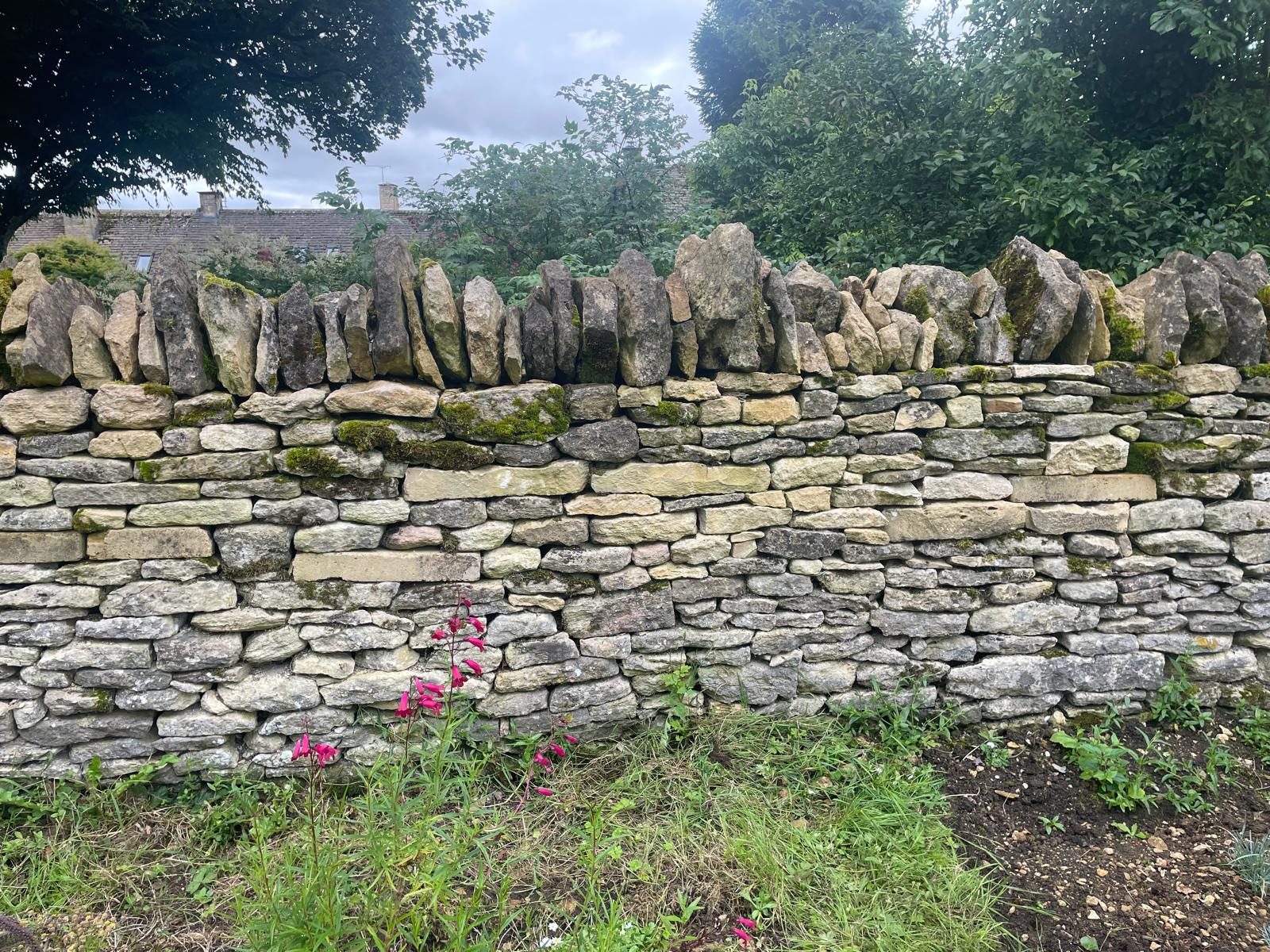 Weathered Cotswold dry stone garden wall with moss, upright coping and pink penstemons