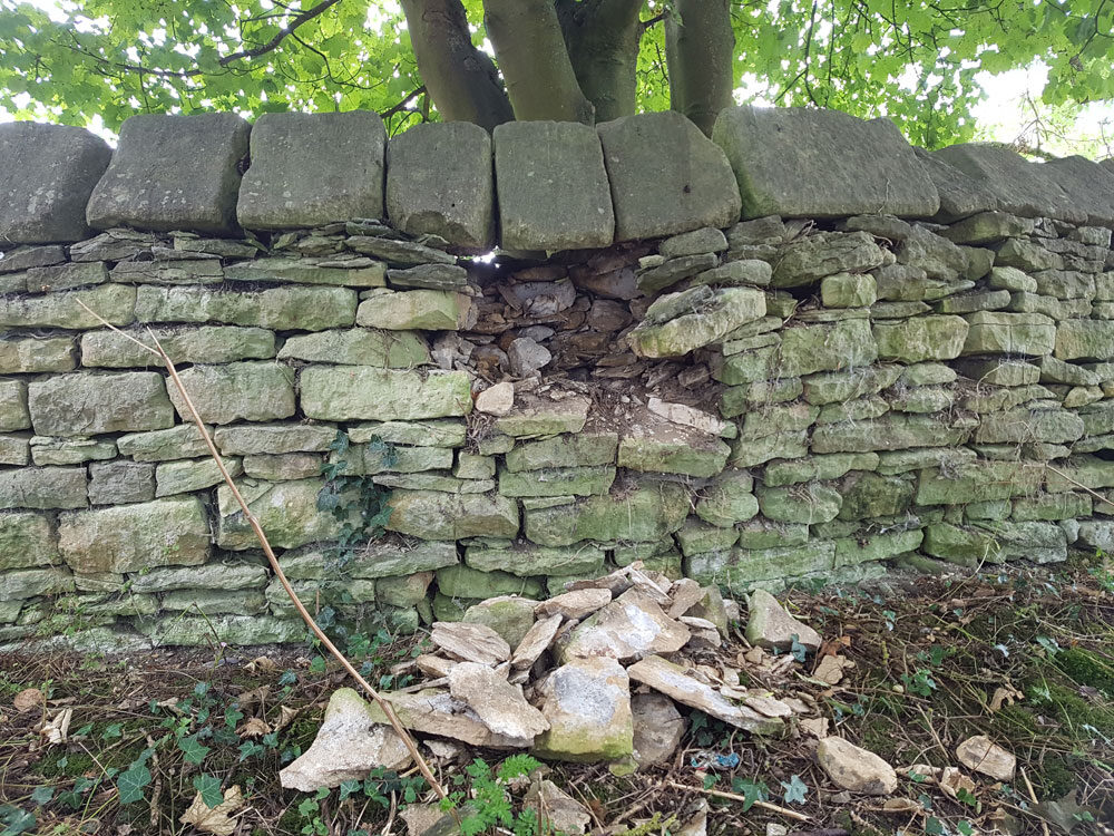 Collapsed section of churchyard dry stone wall at Great Rollright before restoration