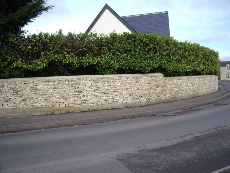 Rebuilt random dry stone walling beneath a hedge at Islip