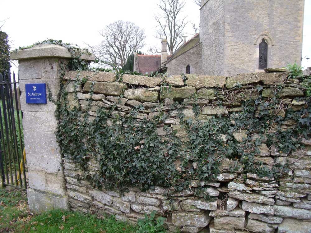 Collapsed ivy-covered churchyard wall at St Andrew's Oddington before restoration
