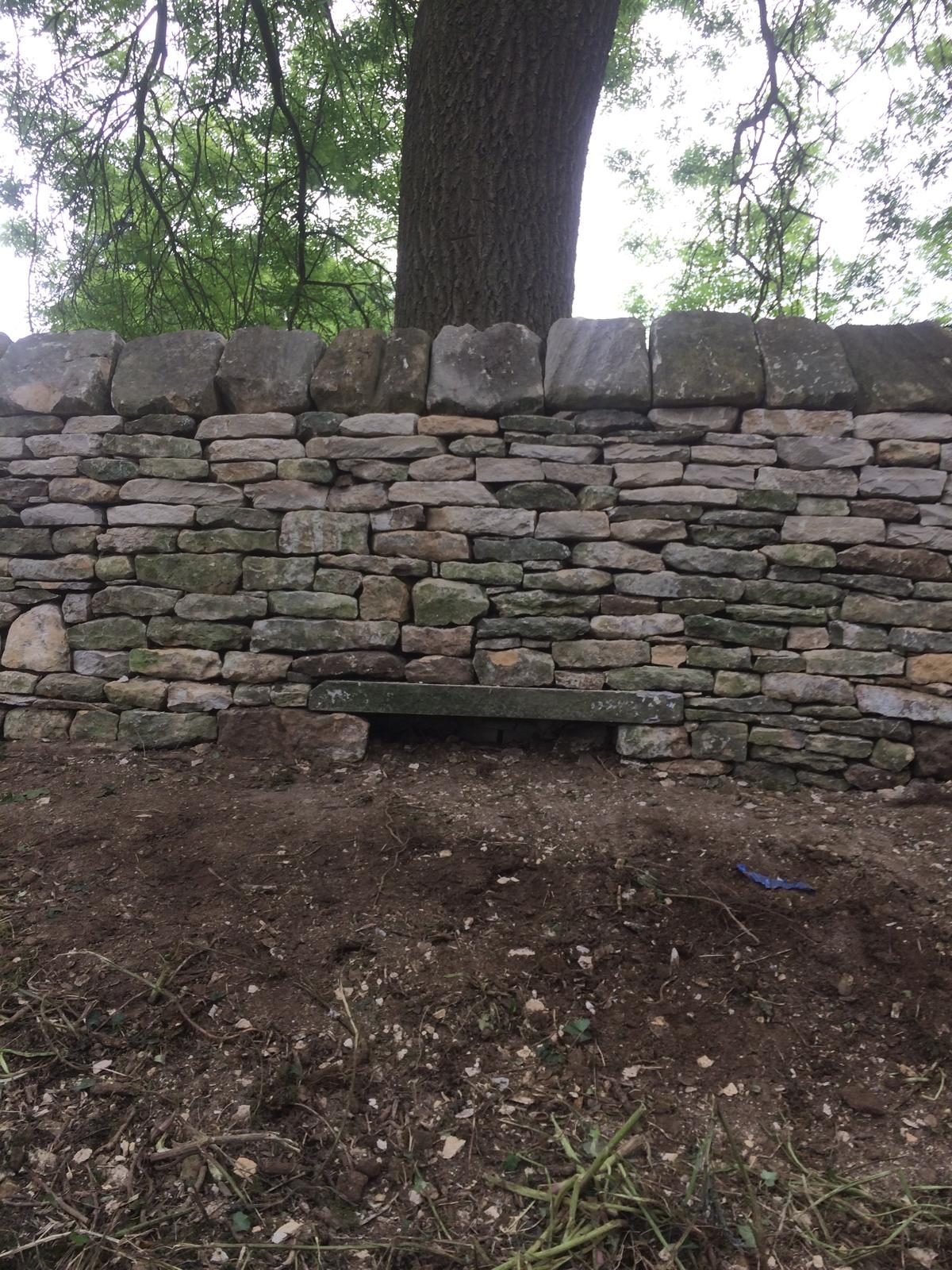 Rebuilt dry stone wall with reused stone slab beneath a mature tree